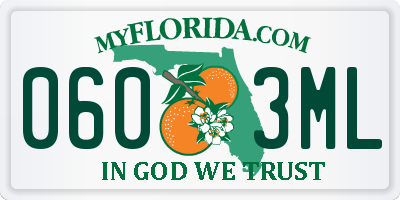 FL license plate 0603ML
