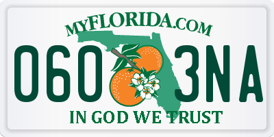 FL license plate 0603NA