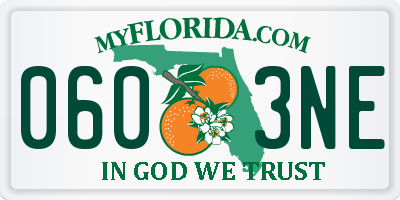 FL license plate 0603NE