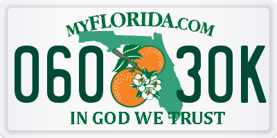 FL license plate 0603OK