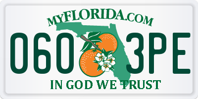 FL license plate 0603PE