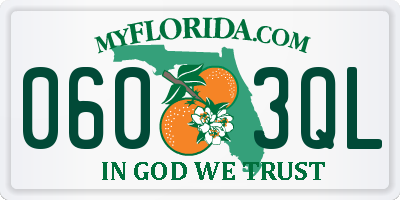 FL license plate 0603QL
