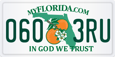 FL license plate 0603RU
