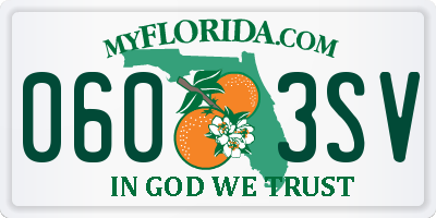 FL license plate 0603SV