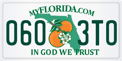 FL license plate 0603TO
