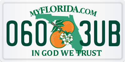 FL license plate 0603UB