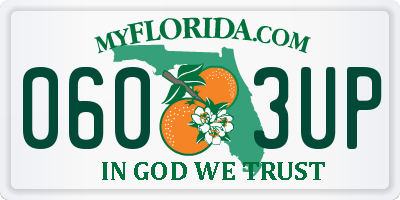 FL license plate 0603UP