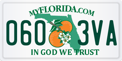 FL license plate 0603VA