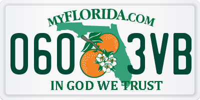 FL license plate 0603VB