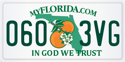 FL license plate 0603VG