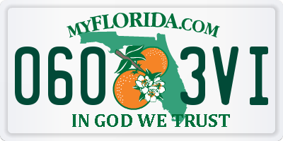 FL license plate 0603VI