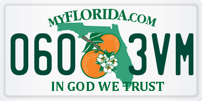 FL license plate 0603VM