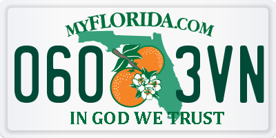 FL license plate 0603VN