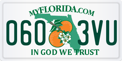 FL license plate 0603VU