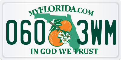 FL license plate 0603WM