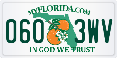 FL license plate 0603WV