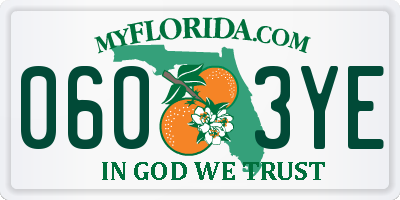 FL license plate 0603YE