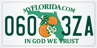 FL license plate 0603ZA