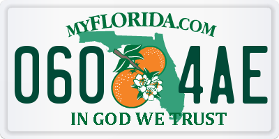 FL license plate 0604AE