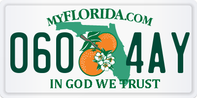 FL license plate 0604AY