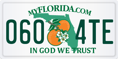 FL license plate 0604TE