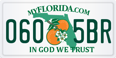 FL license plate 0605BR