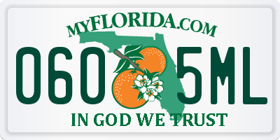 FL license plate 0605ML