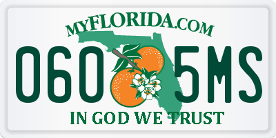 FL license plate 0605MS