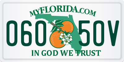 FL license plate 0605OV