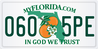 FL license plate 0605PE