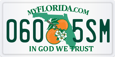 FL license plate 0605SM