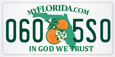 FL license plate 0605SO