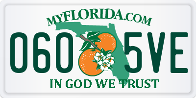 FL license plate 0605VE