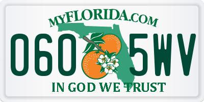 FL license plate 0605WV