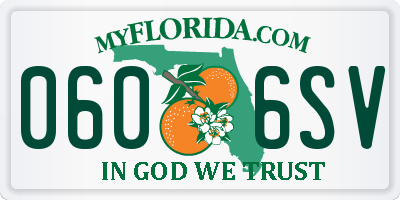 FL license plate 0606SV