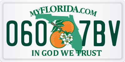 FL license plate 0607BV