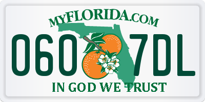 FL license plate 0607DL