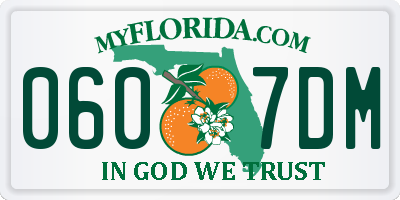 FL license plate 0607DM