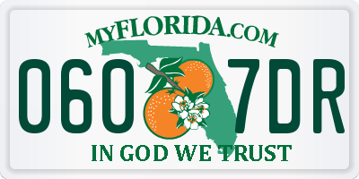 FL license plate 0607DR