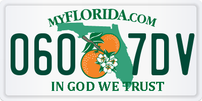 FL license plate 0607DV