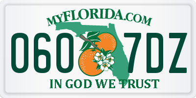 FL license plate 0607DZ