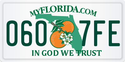 FL license plate 0607FE