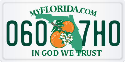 FL license plate 0607HO