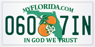 FL license plate 0607IN