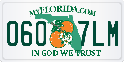FL license plate 0607LM