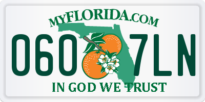 FL license plate 0607LN