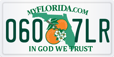 FL license plate 0607LR