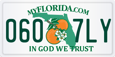FL license plate 0607LY