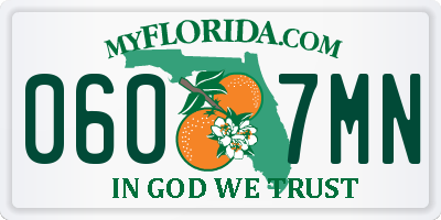 FL license plate 0607MN