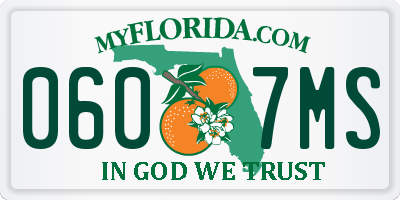 FL license plate 0607MS
